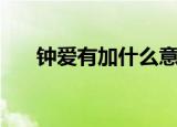 钟爱有加什么意思（钟爱有加的含义）