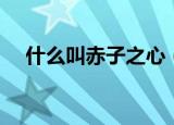 什么叫赤子之心（赤子之心是什么意思）