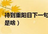 待到重阳日下一句是什么（待到重阳日下一句是啥）