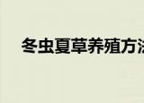 冬虫夏草养殖方法（冬虫夏草怎么养殖）