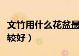文竹用什么花盆最好（什么样的盆养殖文竹比较好）