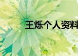 王烁个人资料（王烁的所获荣誉）