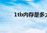 1tb内存是多大（1tb内存指什么）