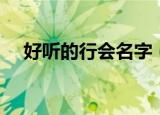 好听的行会名字（好听的行会名字大全）