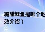 糖醋鲤鱼是哪个地方的菜（糖醋鲤鱼的营养功效介绍）