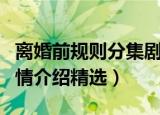 离婚前规则分集剧情介绍（离婚前规则分集剧情介绍精选）