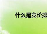 什么是竞价排名（竞价排名解释）