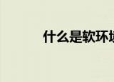 什么是软环境（软环境的解释）