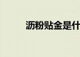 沥粉贴金是什么（沥粉贴金介绍）