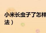 小米长虫子了怎样处理（小米长虫子的解决方法）