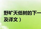 野旷天低树的下一句是什么（野旷天低树原诗及译文）