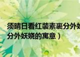 须晴日看红装素裹分外妖娆的意思（有关须晴日看红装素裹分外妖娆的寓意）