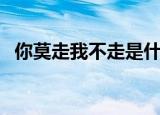 你莫走我不走是什么歌（你莫走完整歌词）