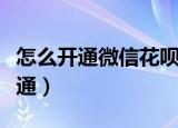 怎么开通微信花呗借款（微信花呗借钱怎么开通）