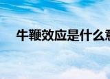 牛鞭效应是什么意思（什么是牛鞭效应）