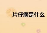 片仔癀是什么（片仔癀是什么东西）