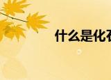什么是化石（化石是什么）