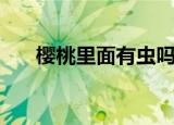 樱桃里面有虫吗（樱桃里面有没有虫）