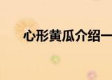 心形黄瓜介绍一下（是自然形成的吗）