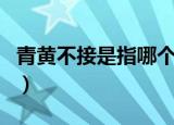 青黄不接是指哪个月份（青黄不接是指啥时间）