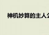 神机妙算的主人公是谁（神机妙算解释）