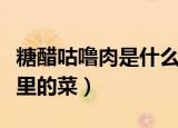 糖醋咕噜肉是什么地方的菜（糖醋咕噜肉是哪里的菜）