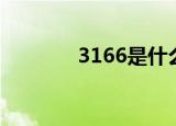 3166是什么梗（3166解释）