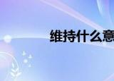 维持什么意思（维持的含义）