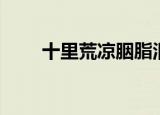 十里荒凉胭脂泪介绍（快来看看吧）