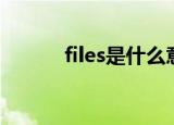 files是什么意思（files的意思）