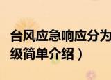 台风应急响应分为几个等级（台风应急响应等级简单介绍）