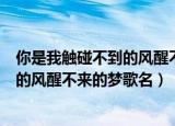 你是我触碰不到的风醒不来的梦是什么歌（你是我触碰不到的风醒不来的梦歌名）