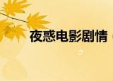 夜惑电影剧情（夜惑电影剧情简介）
