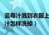 蓝莓汁溅到衣服上怎么洗干净（衣服上的蓝莓汁怎样洗掉）