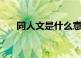 同人文是什么意思（同人文是指什么）