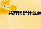 共婵娟是什么意思（共婵娟原文出处）