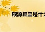 顾源顾里是什么电视剧（由谁饰演）