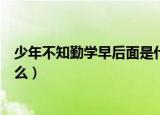 少年不知勤学早后面是什么（少年不知勤学早的下一句是什么）