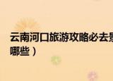 云南河口旅游攻略必去景点（云南河口旅游攻略必去景点有哪些）