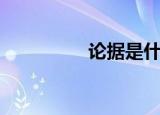 论据是什么（论据介绍）
