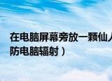 在电脑屏幕旁放一颗仙人掌能防电脑辐射吗（仙人掌能不能防电脑辐射）