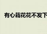 有心栽花花不发下一句（这句话出自哪里）