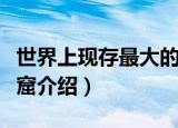 世界上现存最大的佛教艺术宝库是（敦煌莫高窟介绍）