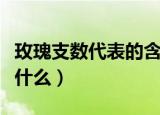 玫瑰支数代表的含义（玫瑰支数代表的寓意是什么）