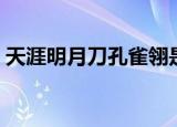 天涯明月刀孔雀翎是什么东西（孔雀翎介绍）