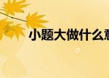 小题大做什么意思（小题大做解释）