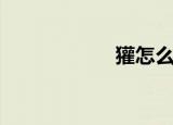 獾怎么读（獾读法）