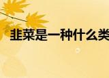 韭菜是一种什么类型的植物（韭菜是什么）