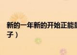 新的一年新的开始正能量句子（表达新的一年新的开始的句子）