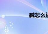臧怎么读（臧的读音）